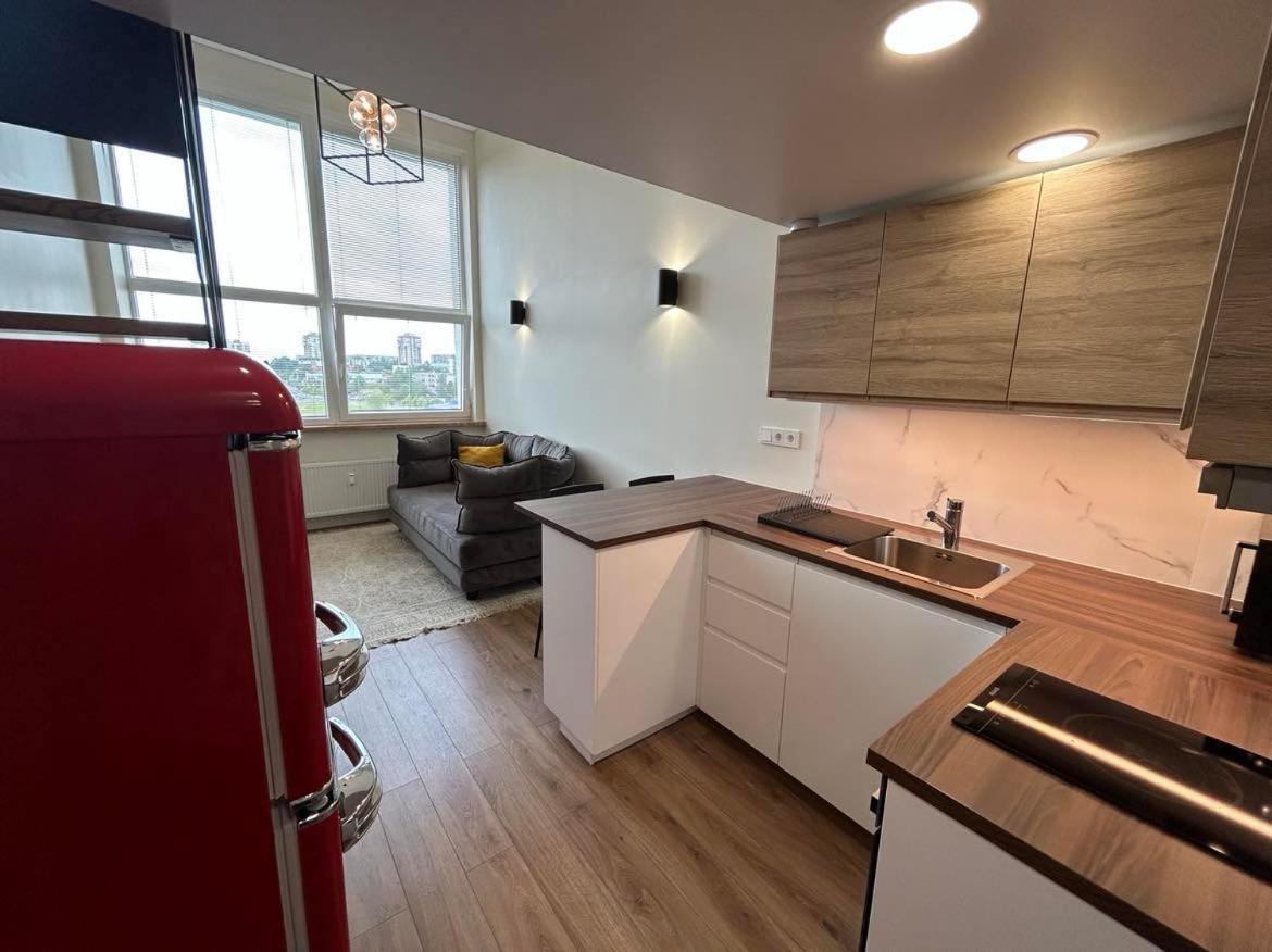 Stylish&Cozy Loft Zuvedra Near City Center Аеропорт Вільнюс Екстер'єр фото